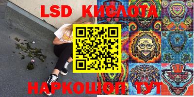 PSILOCYBIN Гагарин