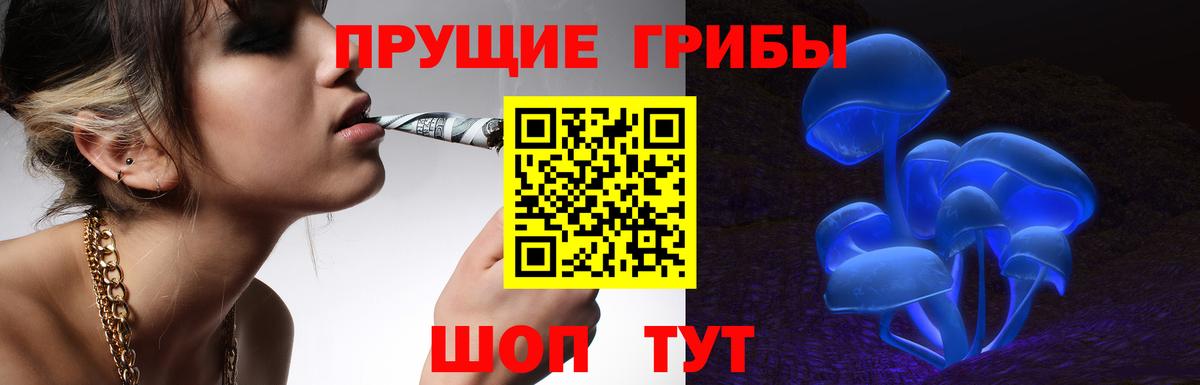 Псилоцибиновые грибы GOLDEN TEACHER  Вход с VPN  даркнет сайт  Советский 